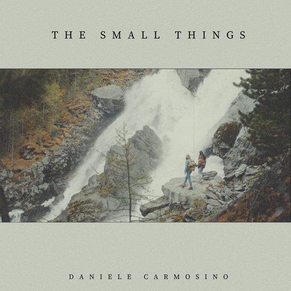 The Small Things — cover